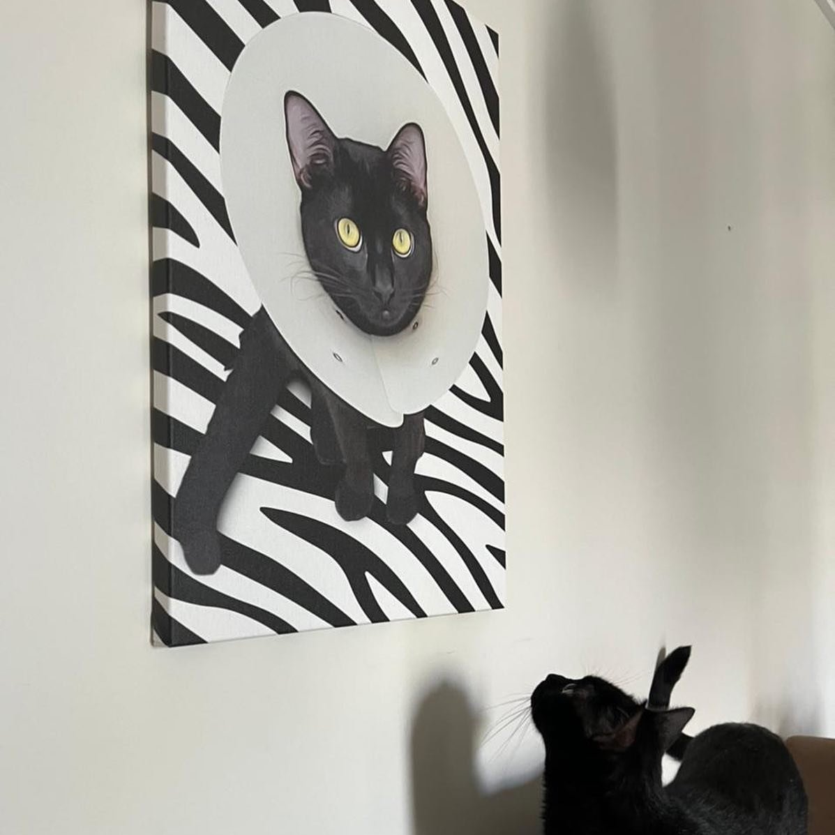Quadro Zebra Personalizado com seu Pet
