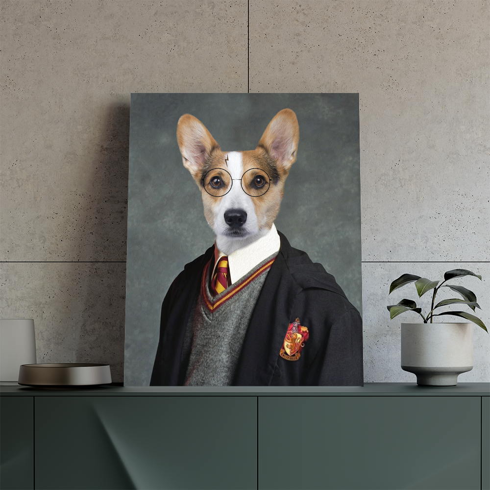 Pet Potter